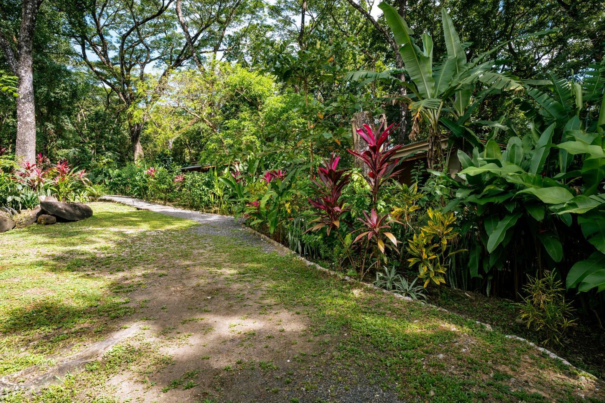 Feeling Trees Jungle Lodge Cabuya  Экстерьер фото