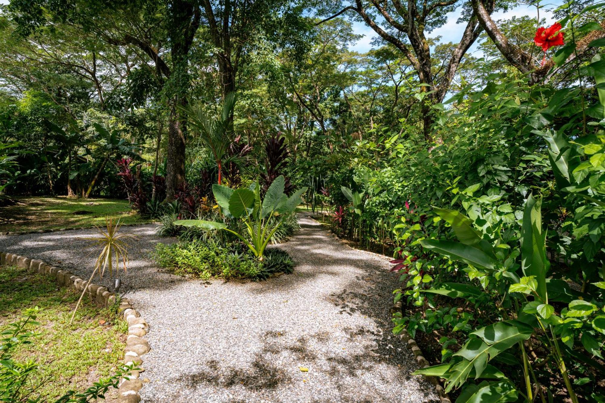 Feeling Trees Jungle Lodge Cabuya  Экстерьер фото