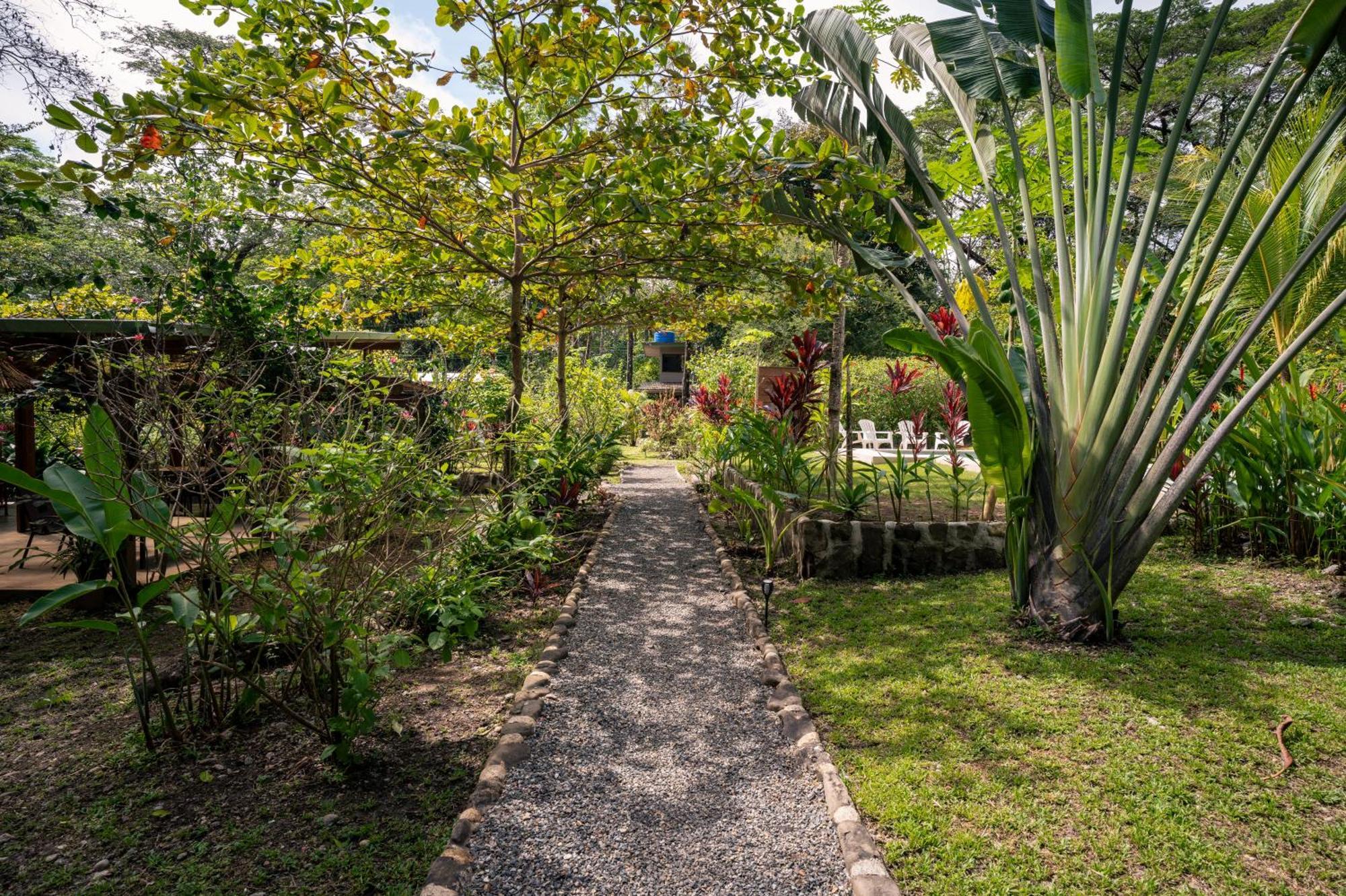 Feeling Trees Jungle Lodge Cabuya  Экстерьер фото