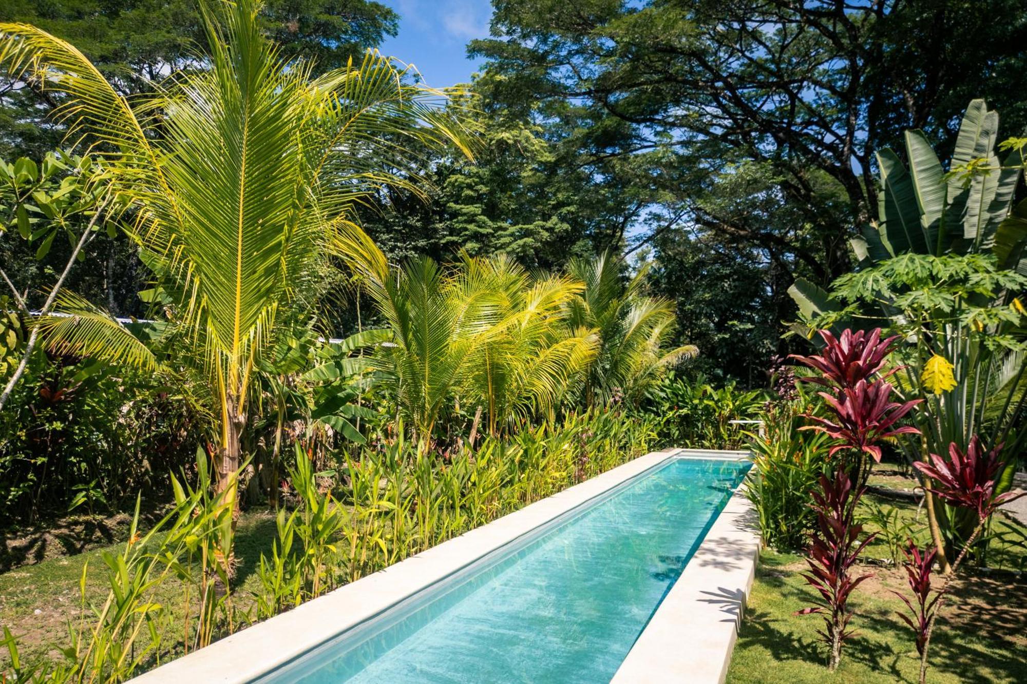 Feeling Trees Jungle Lodge Cabuya  Экстерьер фото